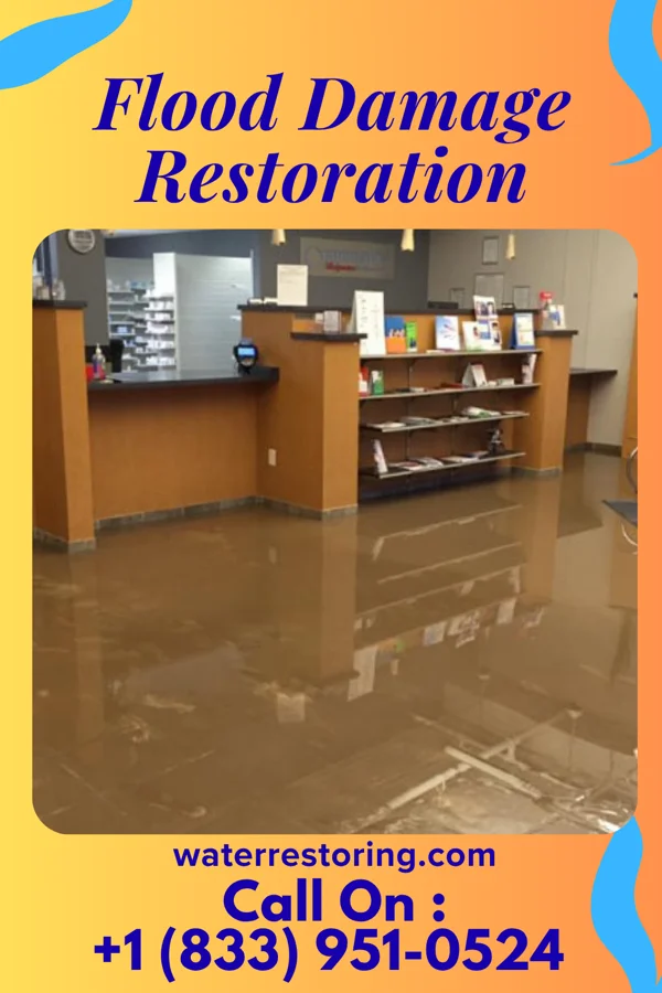 Flood Damage Restoration in Polkton, NC