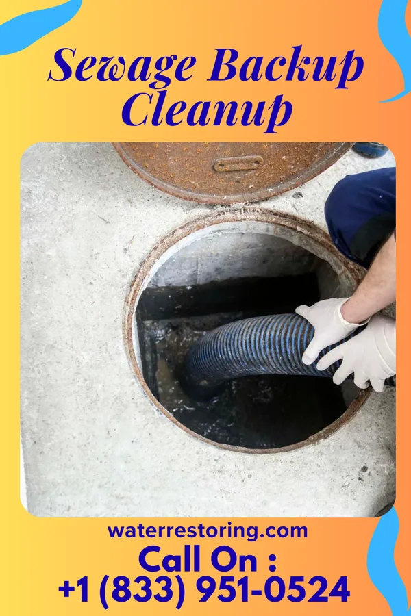Sewage Backup Cleanup in Polkton, NC
